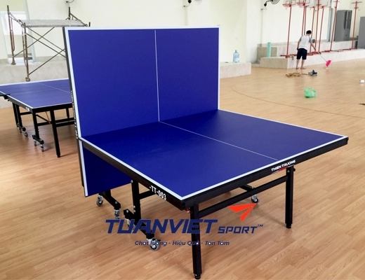 Bàn bóng bàn Harito TT-003
