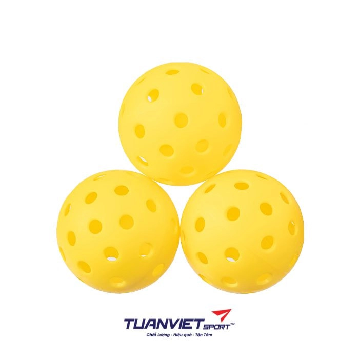 Bộ vợt Pickleball Selkirk & The Holderness Family Chính Hãng