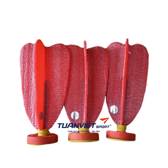 Quả cầu đá thi đấu ĐLS
