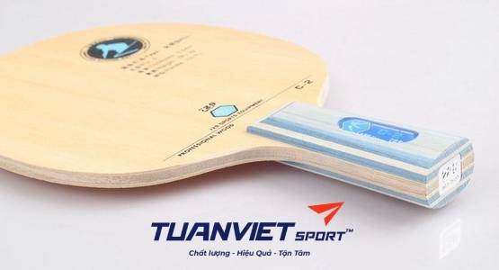 Cốt vợt bóng bàn 729