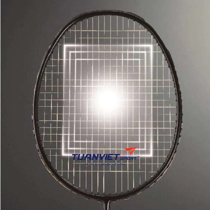 Vợt cầu lông Proace Stroke 316