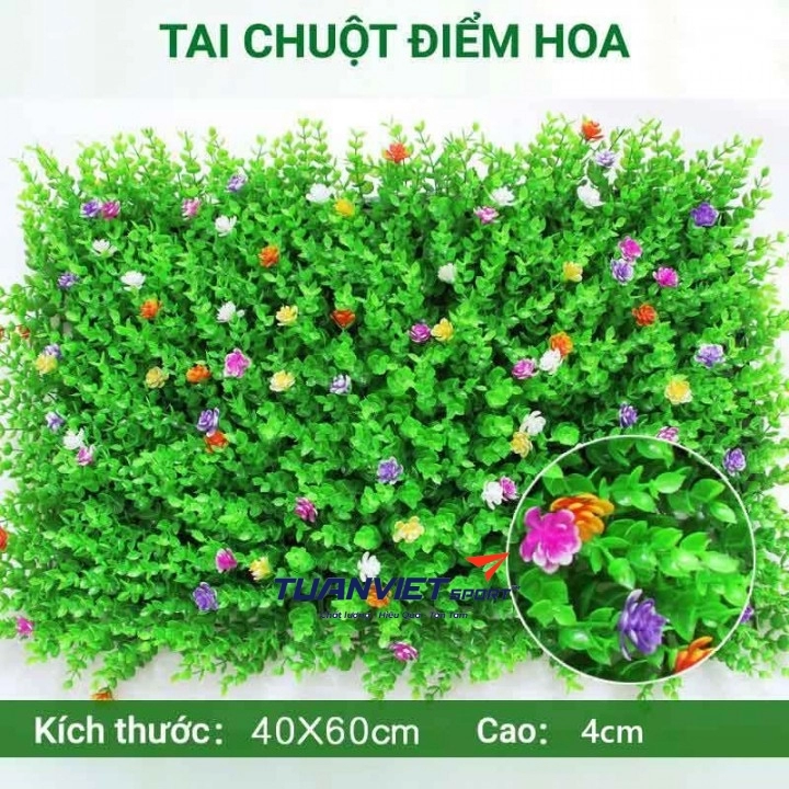 Cỏ tai chuột có hoa