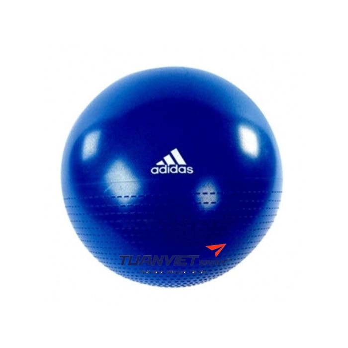 Bóng tập Yoga Adidas ADBL 12247 75cm