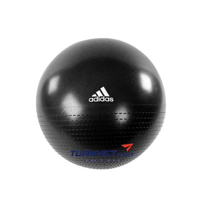 Bóng tập Yoga Adidas ADBL 12247 75cm