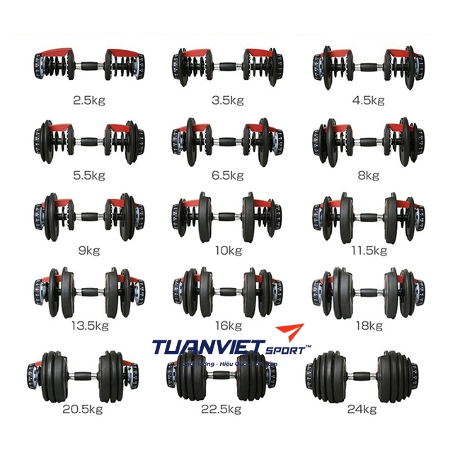 Bộ tạ tập tay Bowflex 552