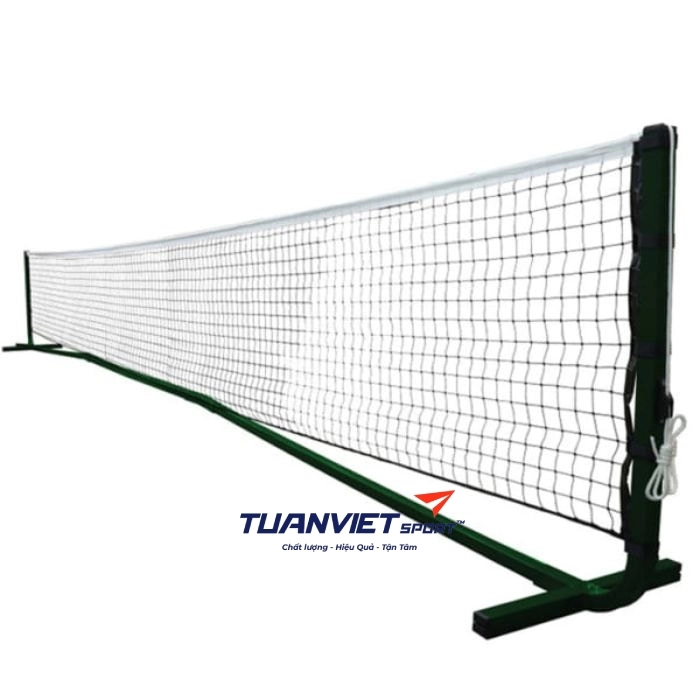 vợt pickleball cho người mới chơi, bóng pickleball