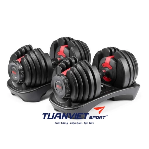 Bộ tạ tập tay Bowflex 552