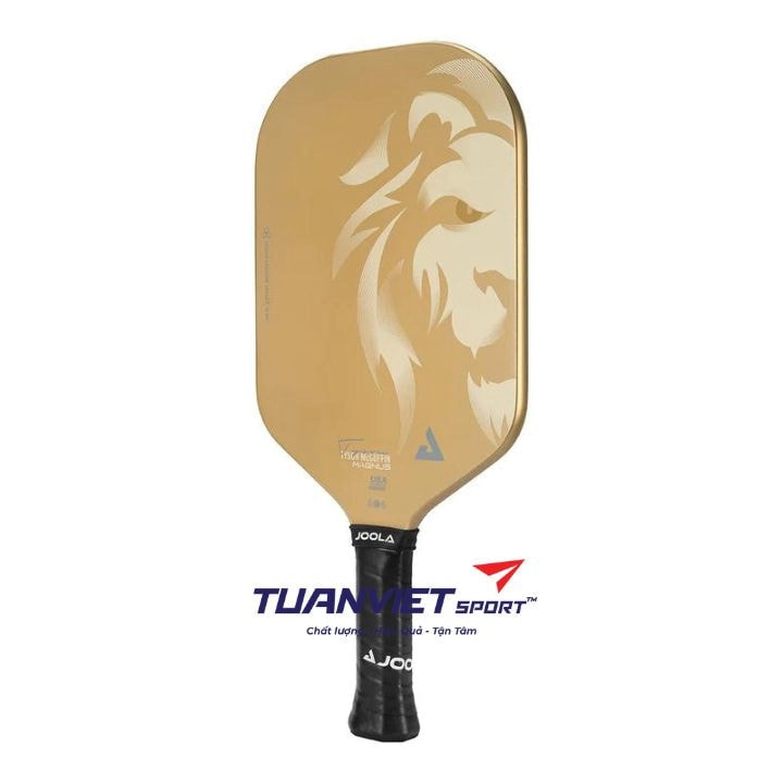 Vợt pickleball Joola Tyson McGuffin Magnus CAS 14mm